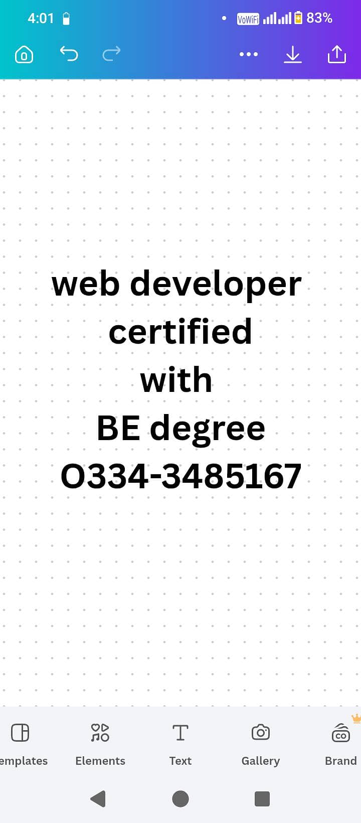 B. E web developer 0