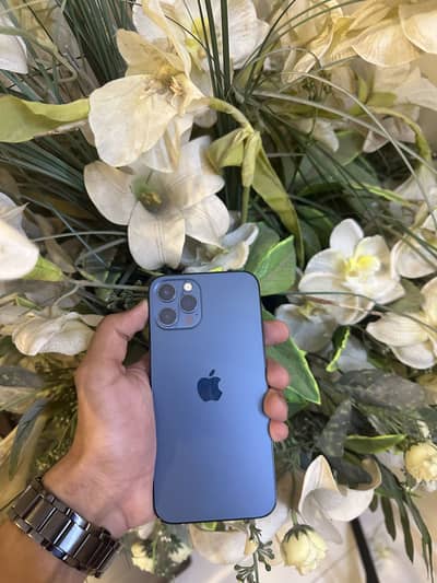 Apple iPhone 12 Pro Max
