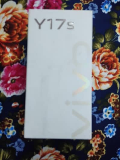 Vivo Y17s