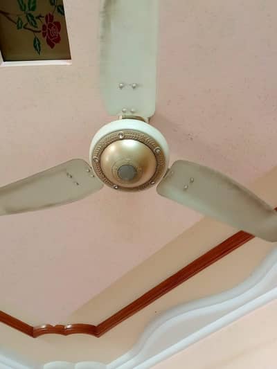 Two Copper Ceiling Fan – Excellent Condition
