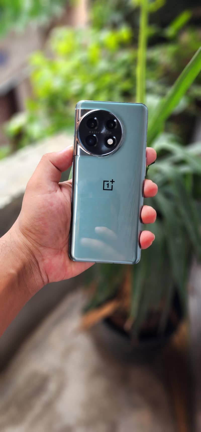 One Plus 11 0