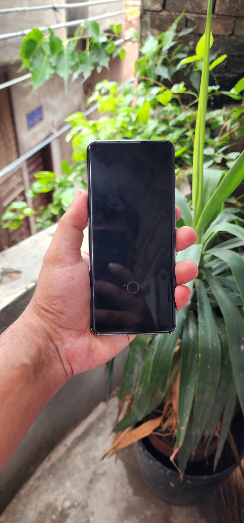One Plus 11 4