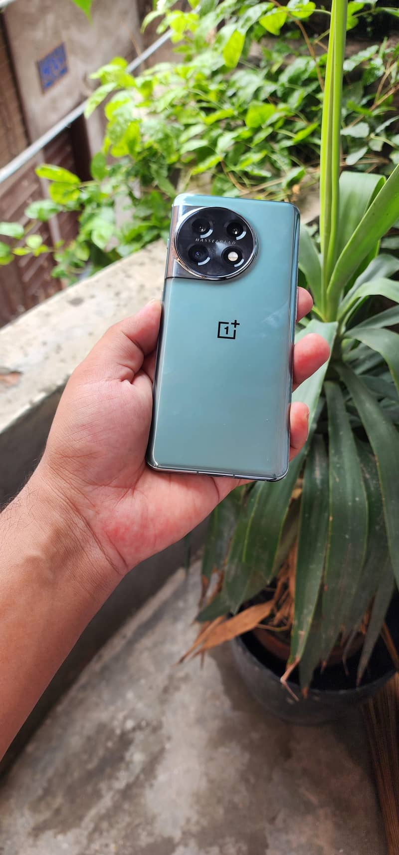 One Plus 11 8