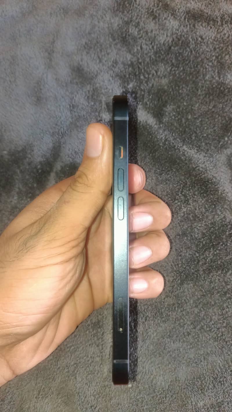 Apple iPhone 13 0