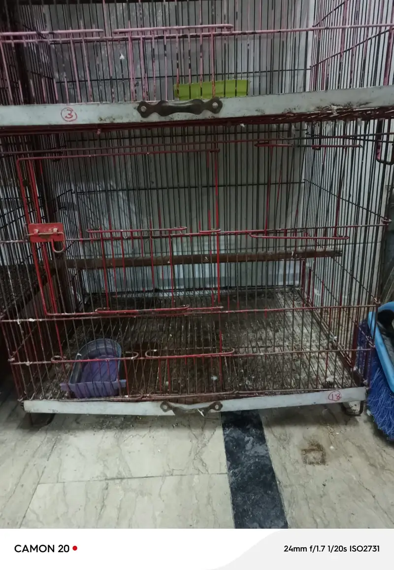 03 portion folding cage for Sale — photo 2
