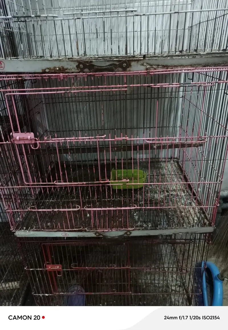 03 portion folding cage for Sale — photo 3