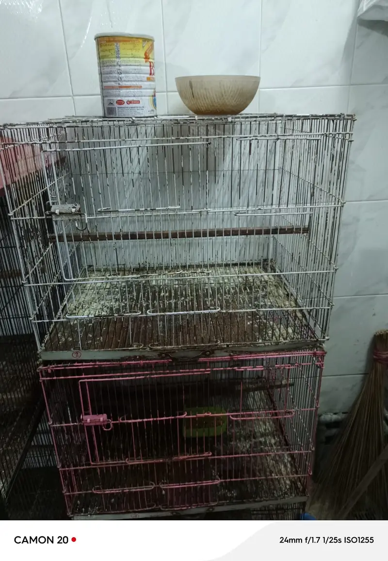 03 portion folding cage for Sale — photo 4