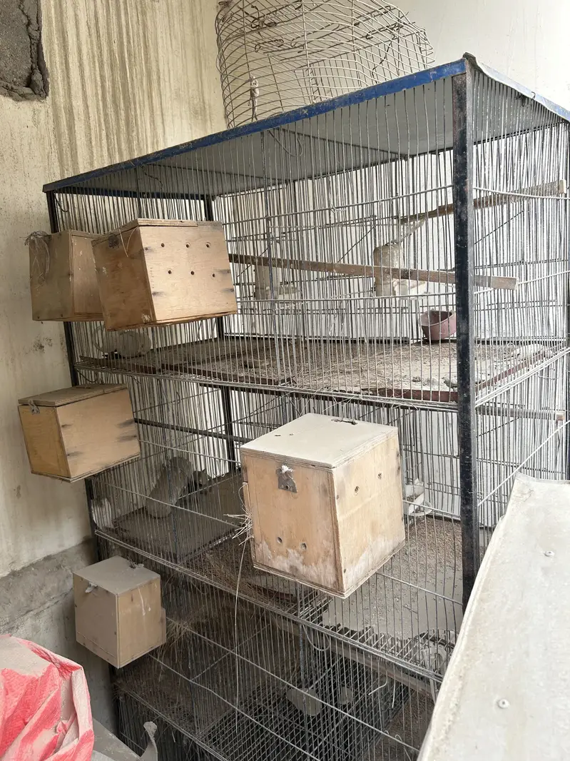Cage avail 8 , 12 , 3 — photo 2