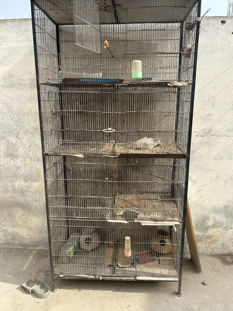 Cage avail 8 , 12 , 3 — photo 3