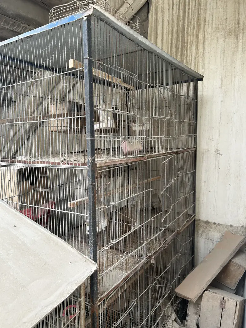 Cage avail 8 , 12 , 3 — photo 4