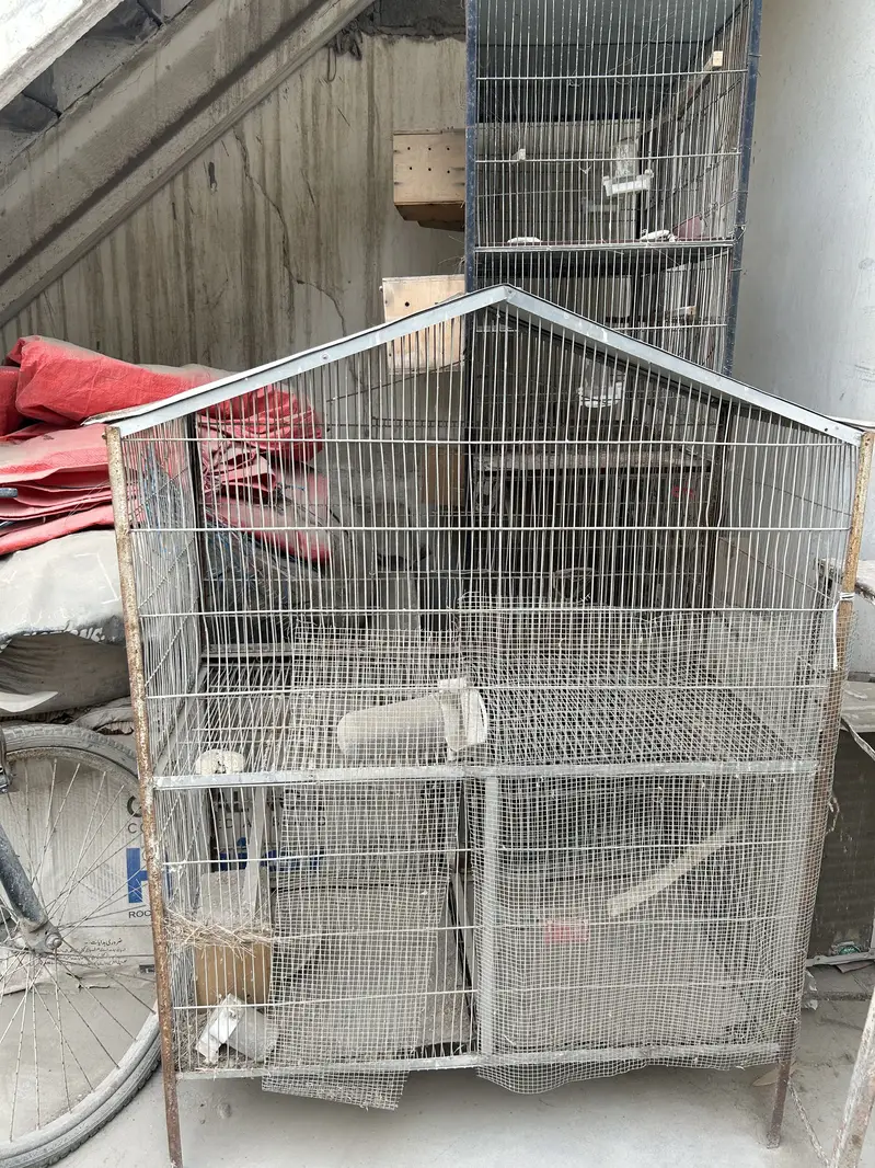Cage avail 8 , 12 , 3 — photo 5