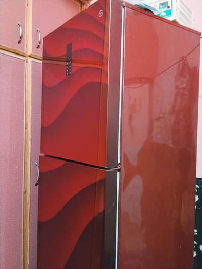 PEL Refrigerator for Sale – Full Size, Touch System