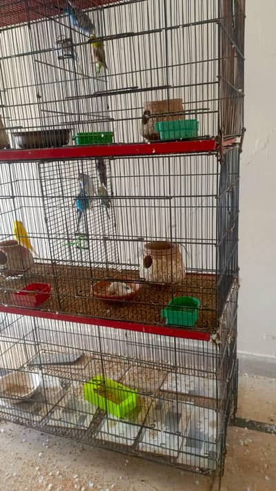 parrot cage for sale 4 portion 8 khana 0347/42/14/594 bhot acha cage h
