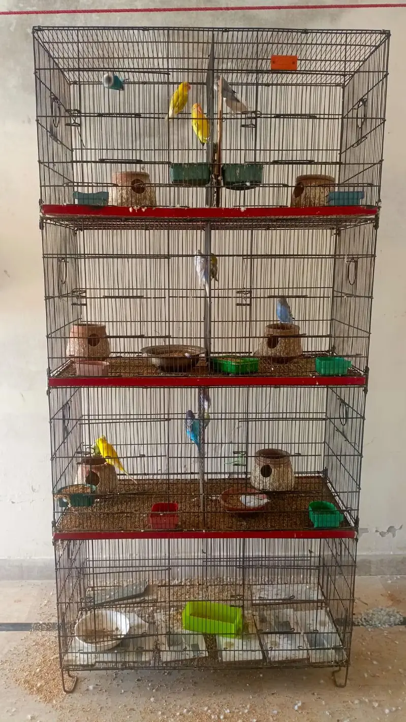 parrot cage for sale 4 portion 8 khana 0347/42/14/594 bhot acha cage h — photo 2