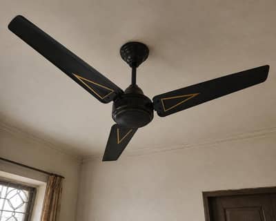 Pair of Ceiling Fans for Sale