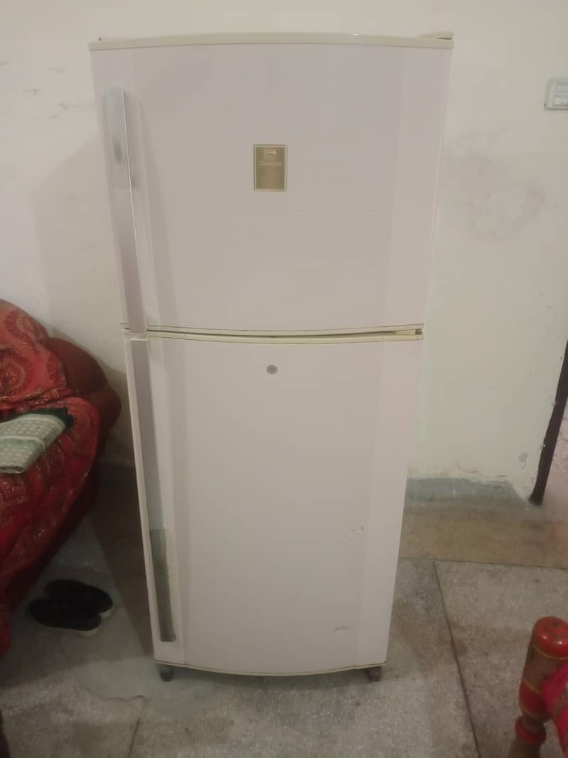 Medium size hai 3