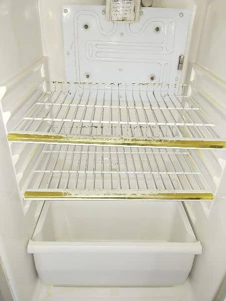 fridge 1