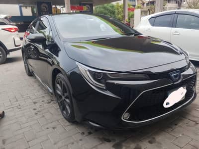 Toyota Corolla hybrid wxb 2020