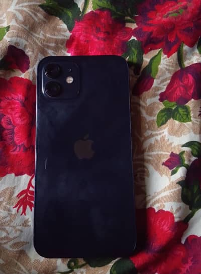 Apple iPhone 12