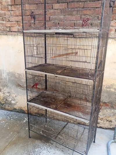birds Cage