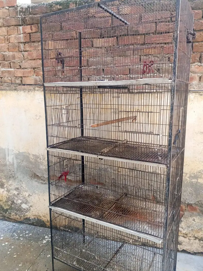 birds Cage — photo 2