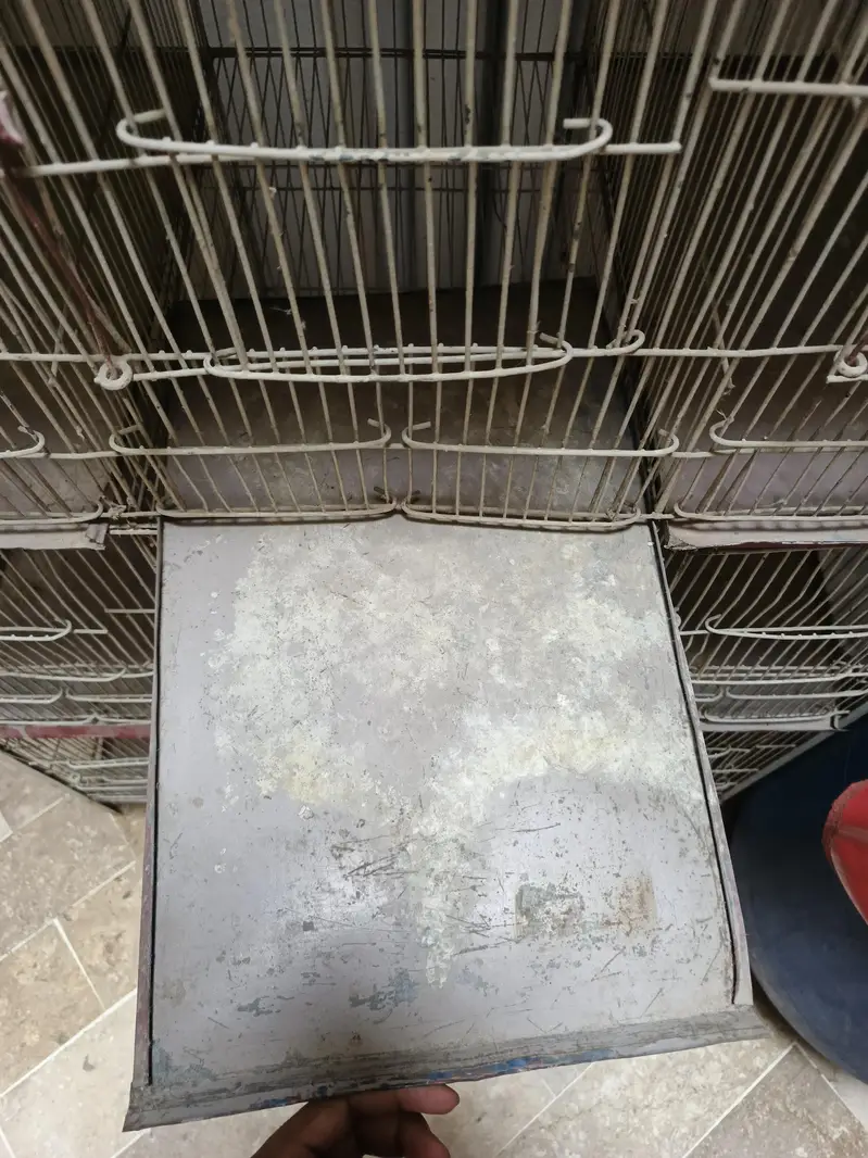 12 portion cage — photo 3