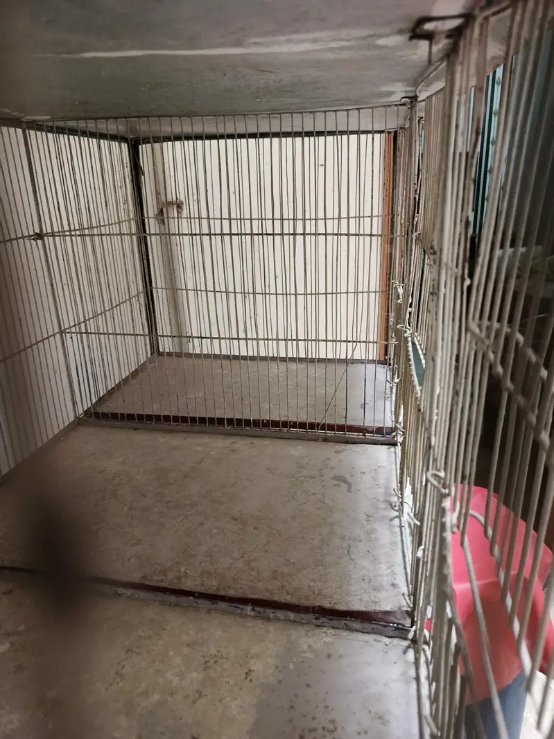 12 portion cage — photo 4