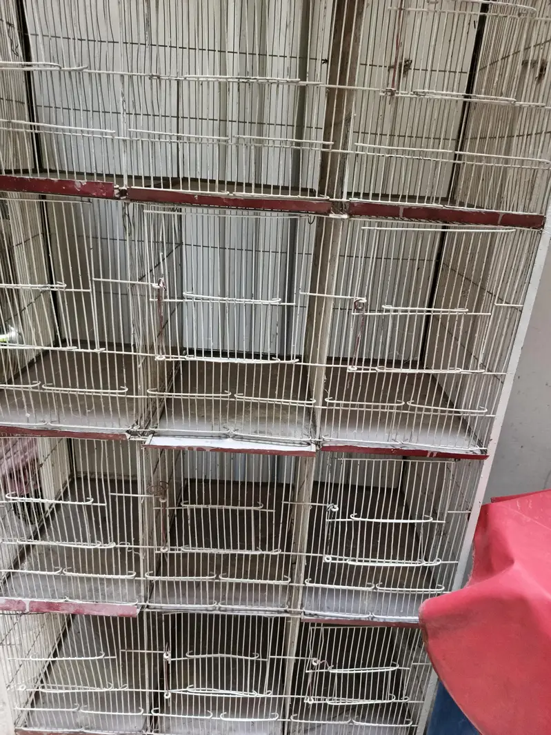 12 portion cage — photo 5