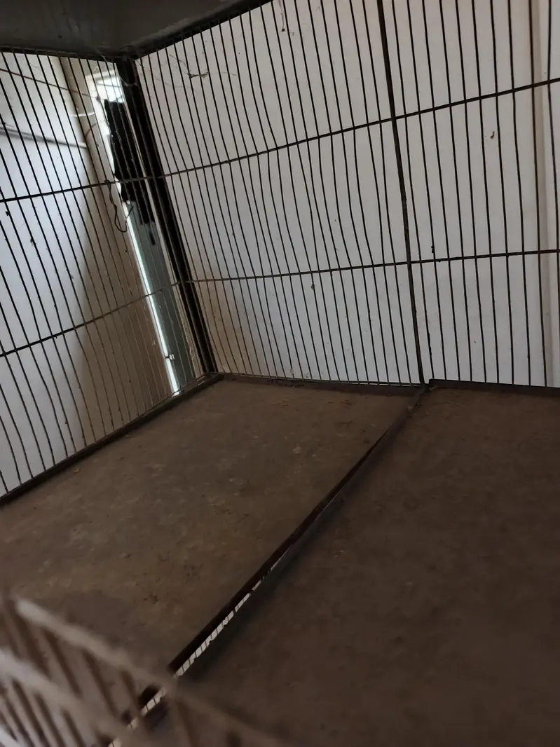 12 portion cage — photo 6