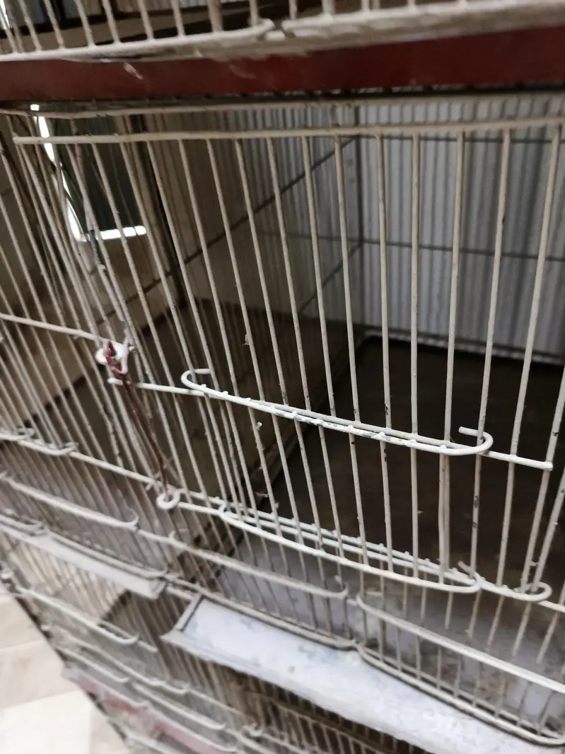 12 portion cage — photo 7