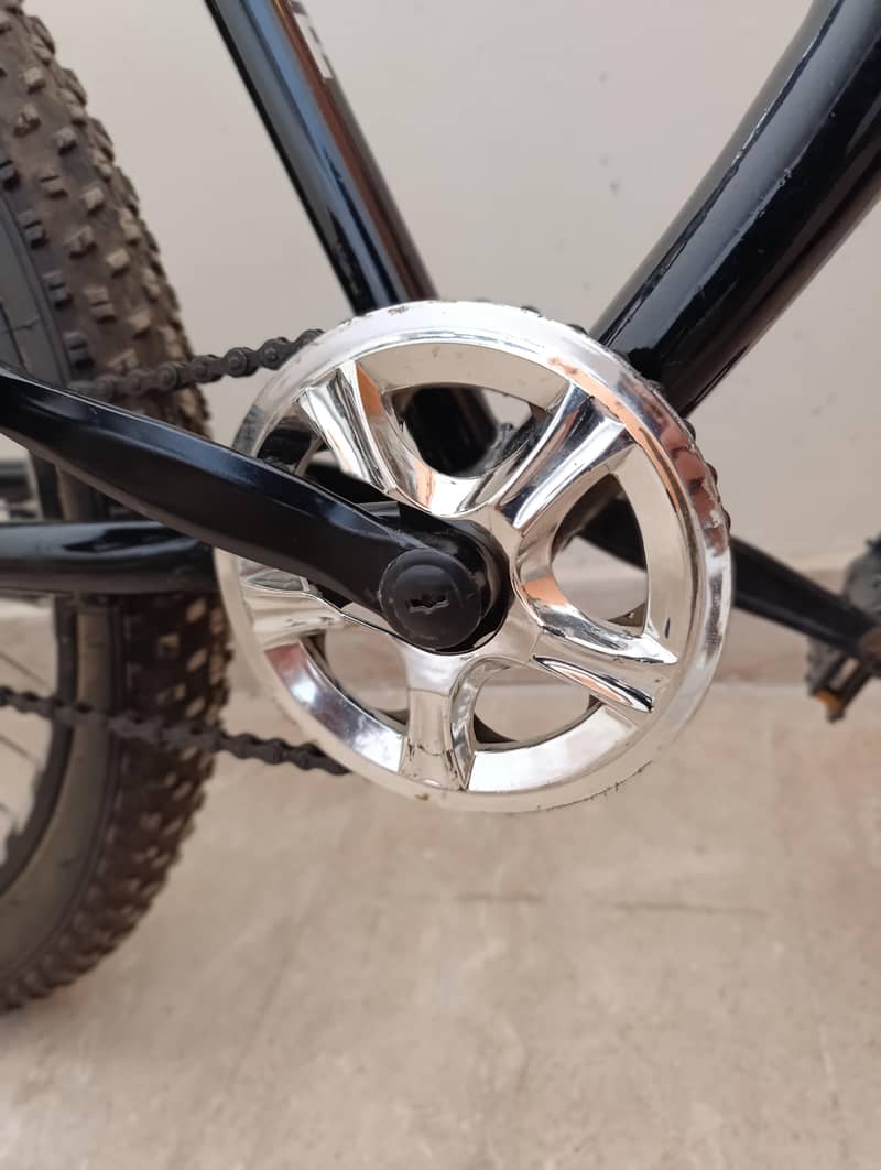 Super Heavy Full Size Bicycle 4
