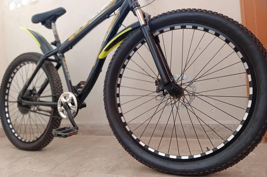 Super Heavy Full Size Bicycle 6
