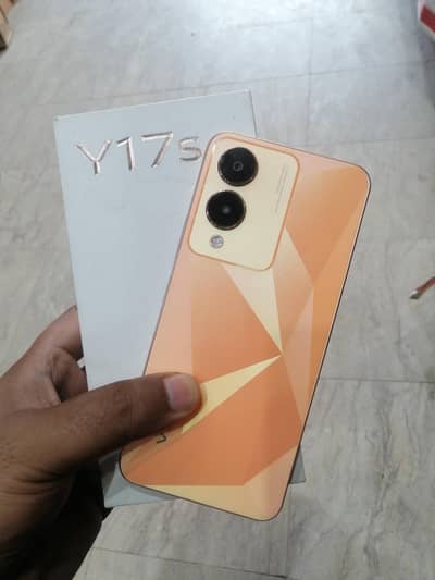 Vivo Y17s