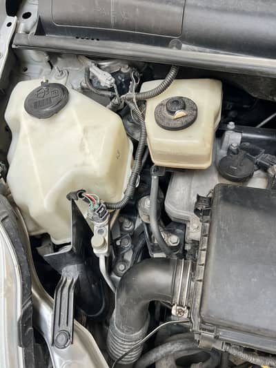 Toyota Prius 2010