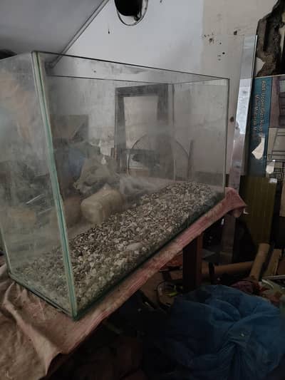 Fish Aquarium 8mm Glass