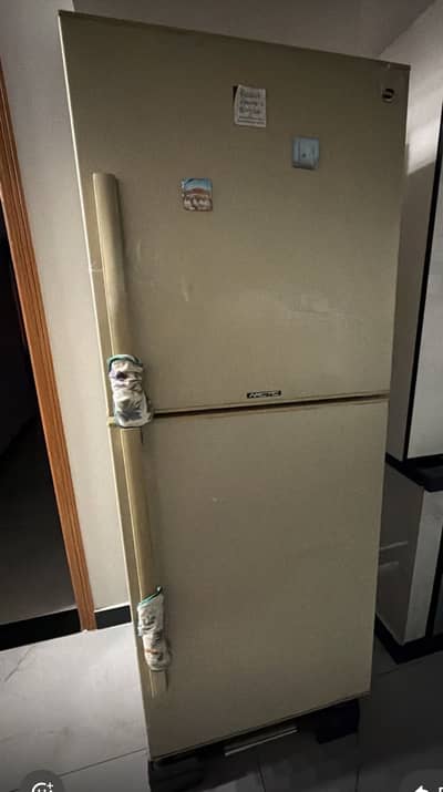 Pel Large size Double Refrigerator all original Excellent cooling