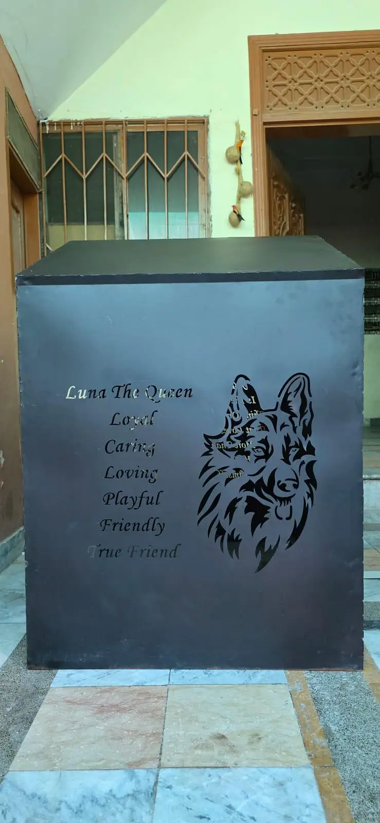 Dog Cage — photo 3