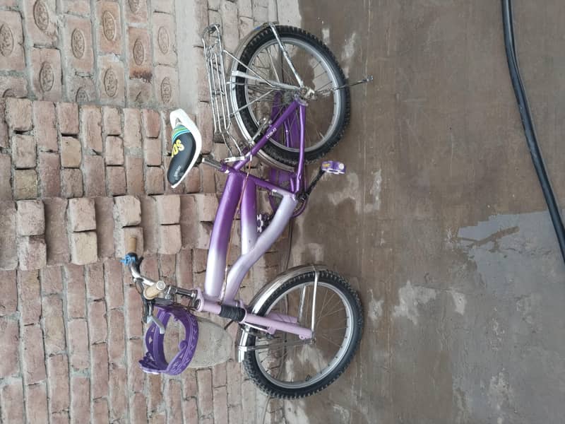 cycle 0