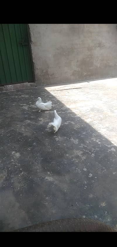 bredr pair hai