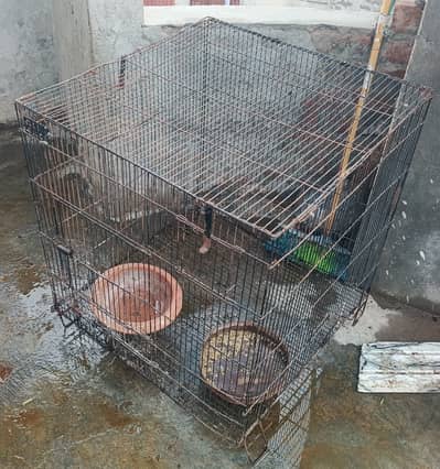 Raw cage