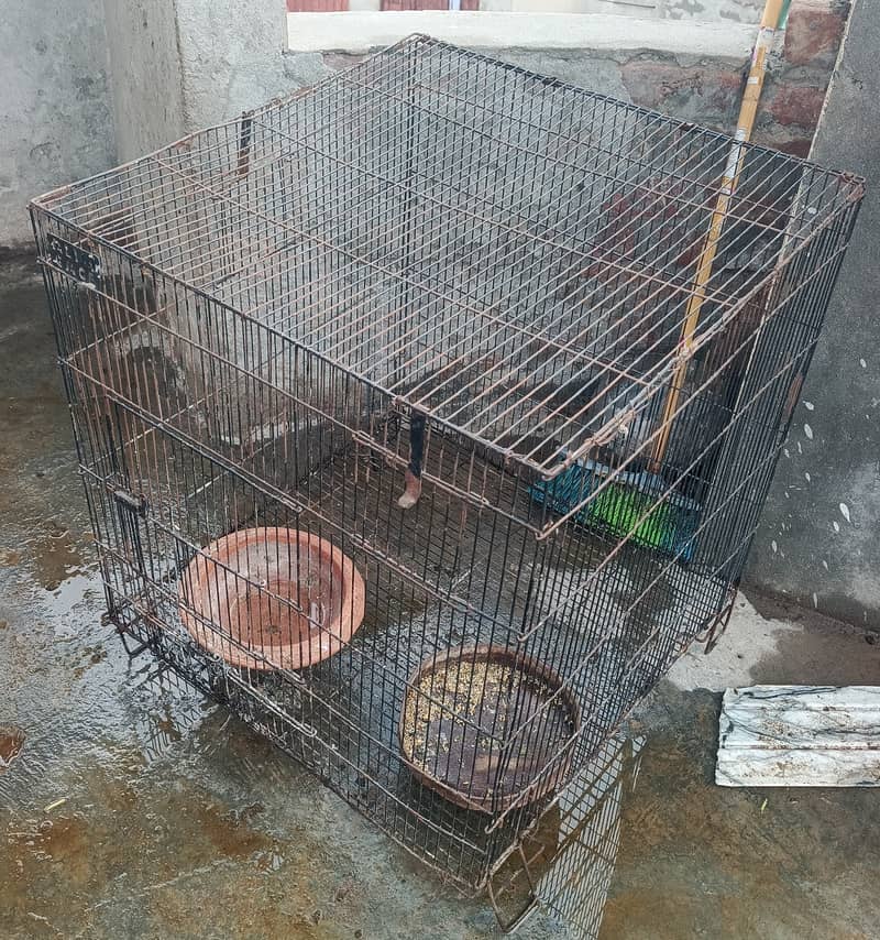 Raw cage 0