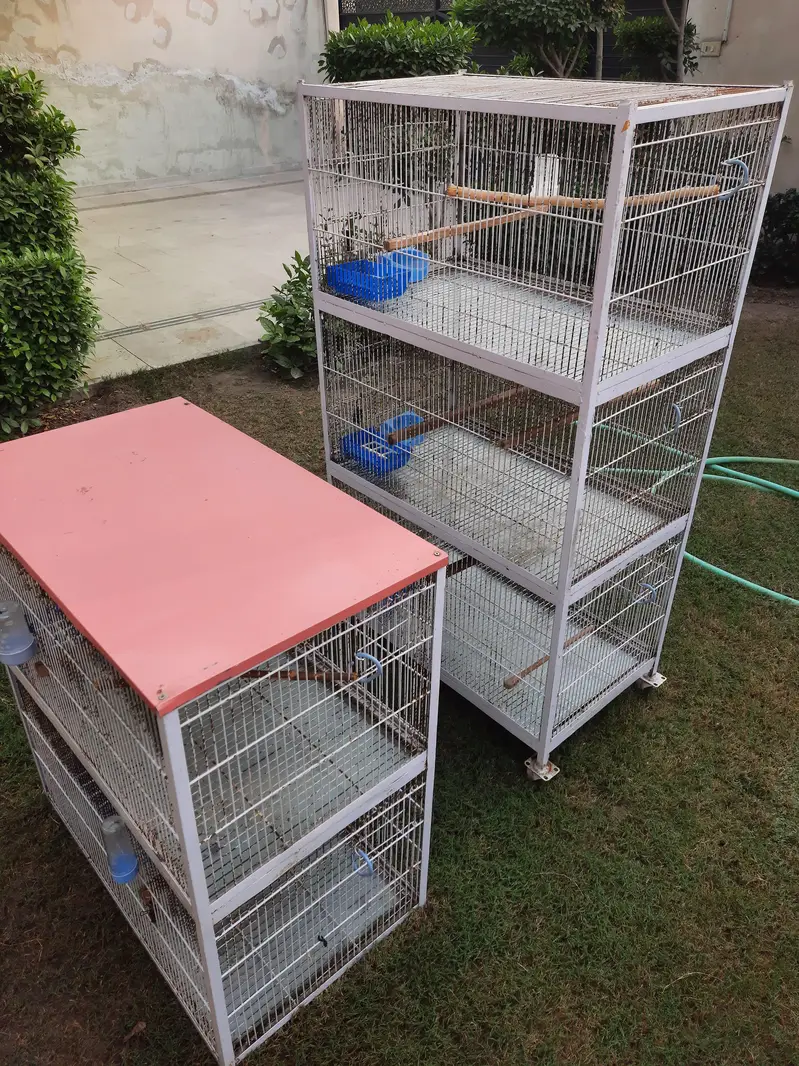 5 five portion Iron birds cage with tyre for sale for lovebirds birds — photo 2