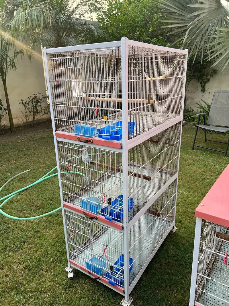 5 five portion Iron birds cage with tyre for sale for lovebirds birds — photo 3