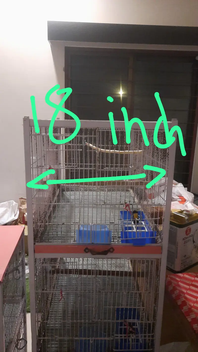 5 five portion Iron birds cage with tyre for sale for lovebirds birds — photo 5