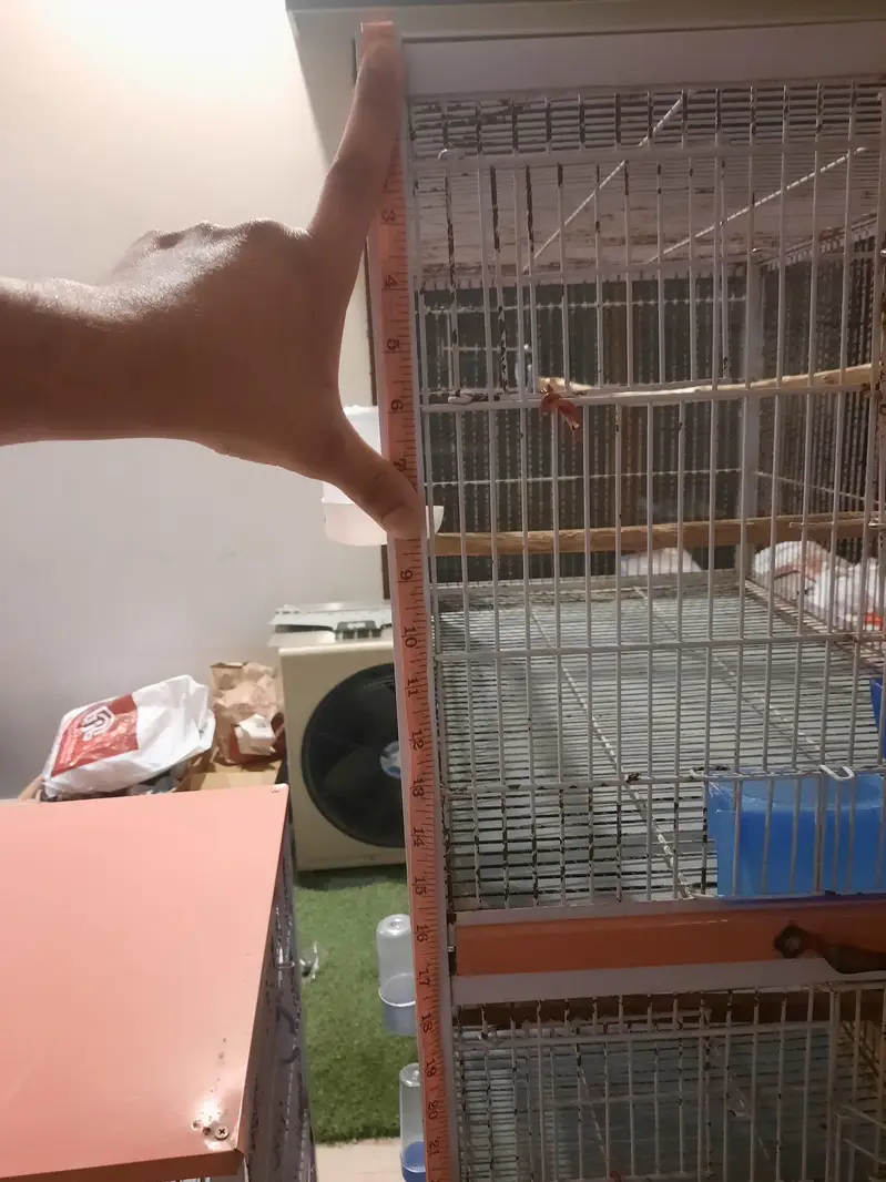 5 five portion Iron birds cage with tyre for sale for lovebirds birds — photo 6