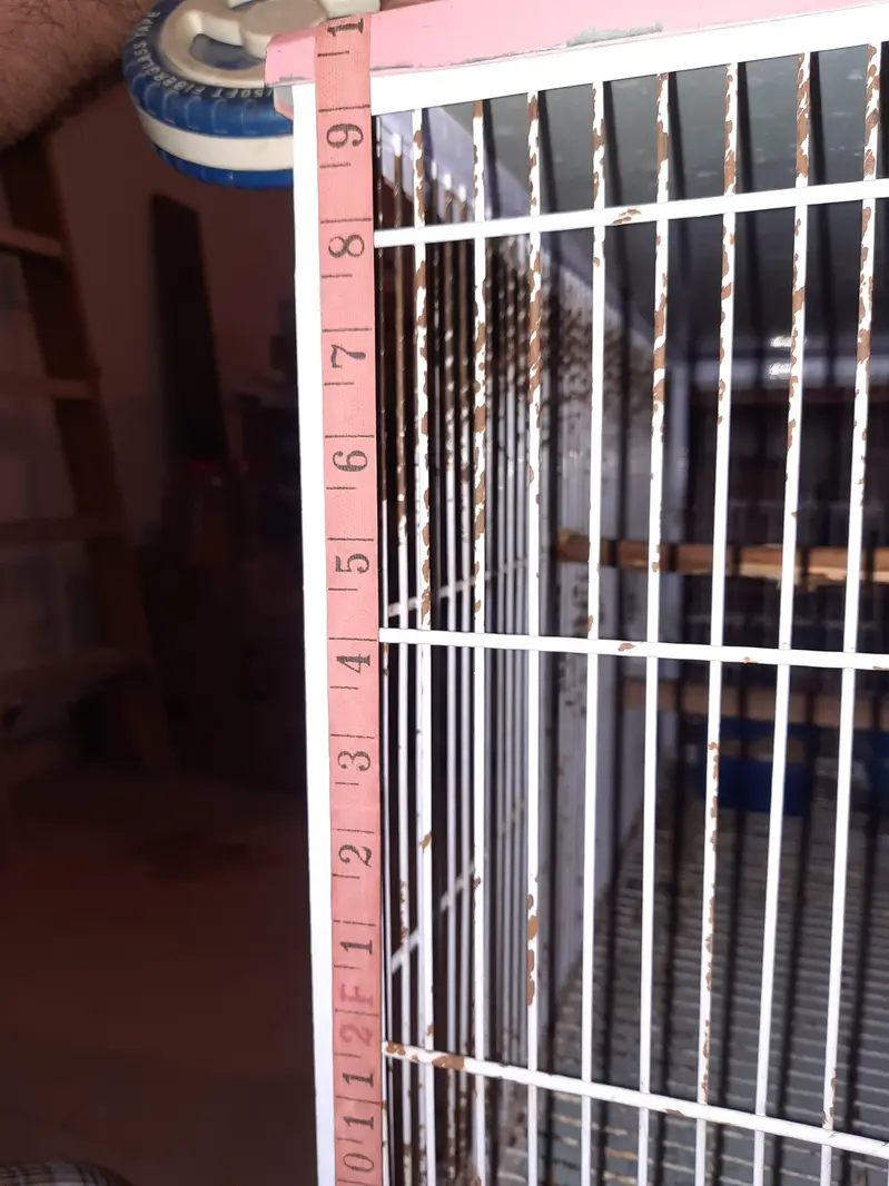 5 five portion Iron birds cage with tyre for sale for lovebirds birds — photo 8