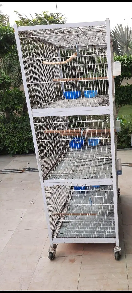 5 five portion Iron birds cage with tyre for sale for lovebirds birds — photo 10
