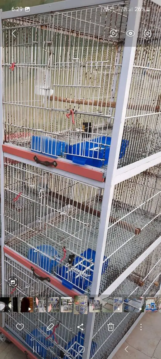 5 five portion Iron birds cage with tyre for sale for lovebirds birds — photo 11
