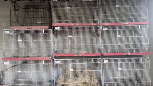 folding cage With box or full setup for aale