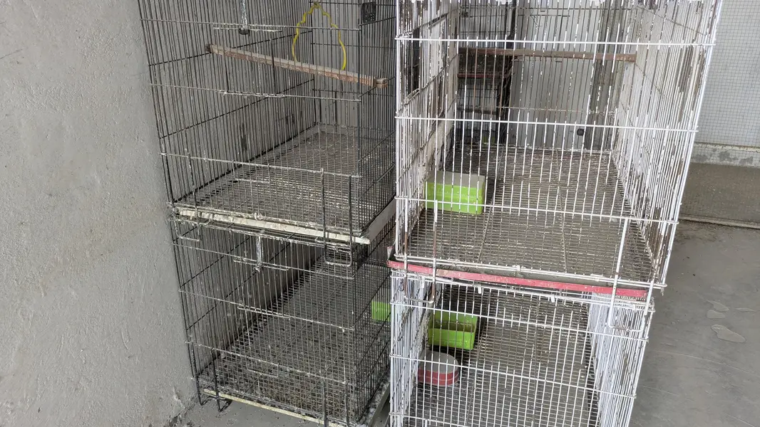 folding cage With box or full setup for aale — photo 2